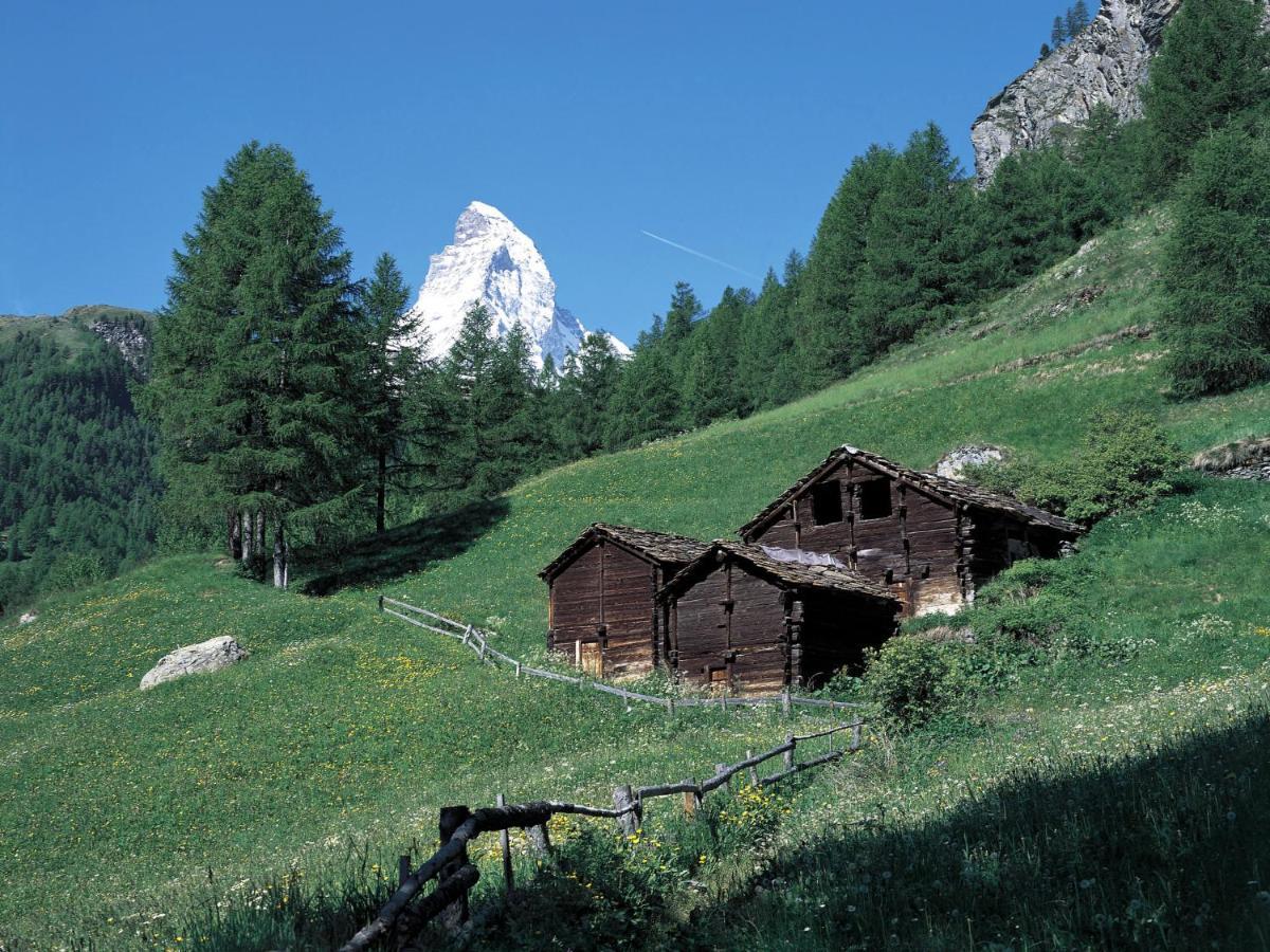 Apartment Monazit By Interhome Zermatt Exteriör bild